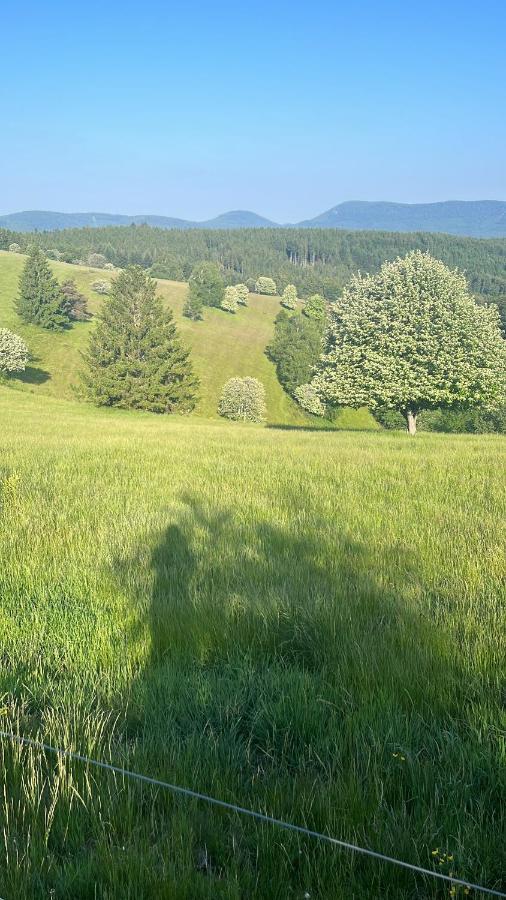 Gite De Montagne -Bellefosse Alsace Exterior photo