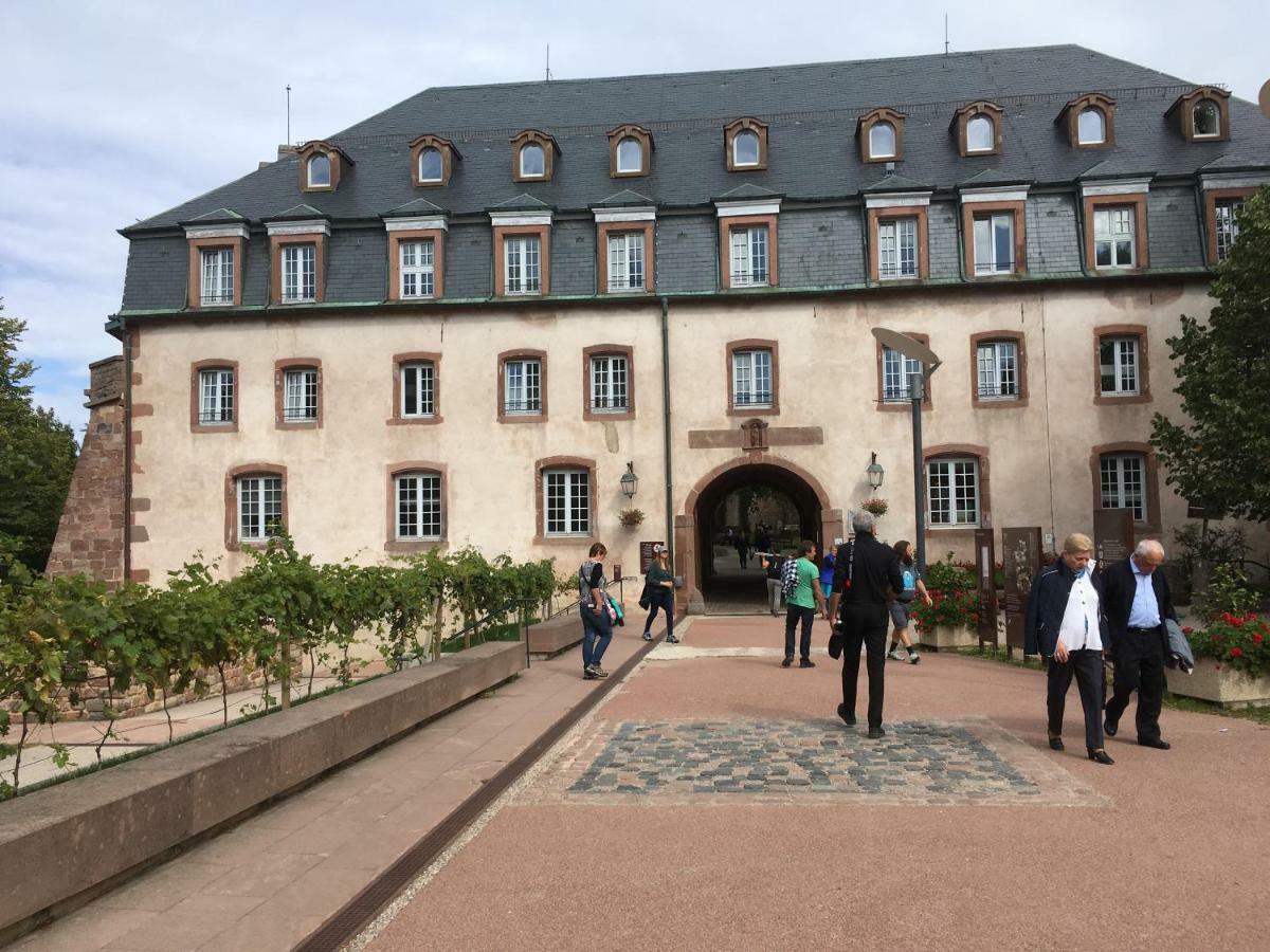 Gite De Montagne -Bellefosse Alsace Exterior photo